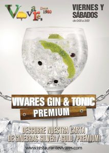 Vivares gin & tonic premium